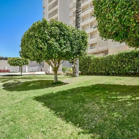 Homeincalpe Apolo Xvii 1-13-39 * Calpe